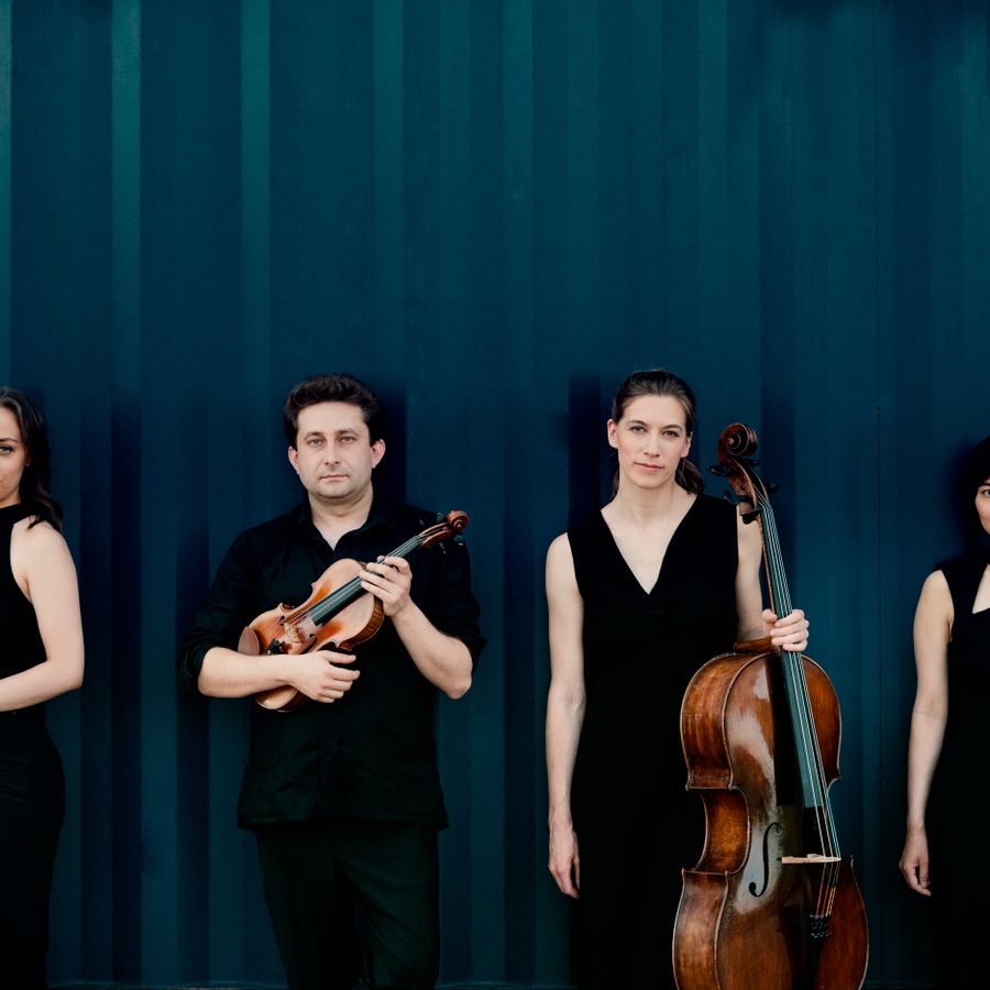 Malion Quartett (foto Felix Broede)