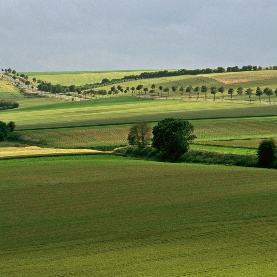 Omgeving Fauquembergues (foto: Luk Van Eeckhout)