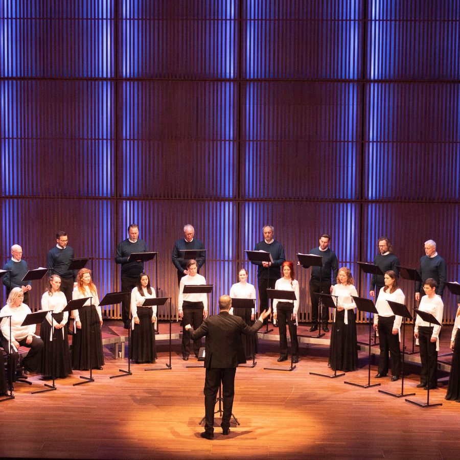 Nederlands Kamerkoor (foto Mark Stokmans)