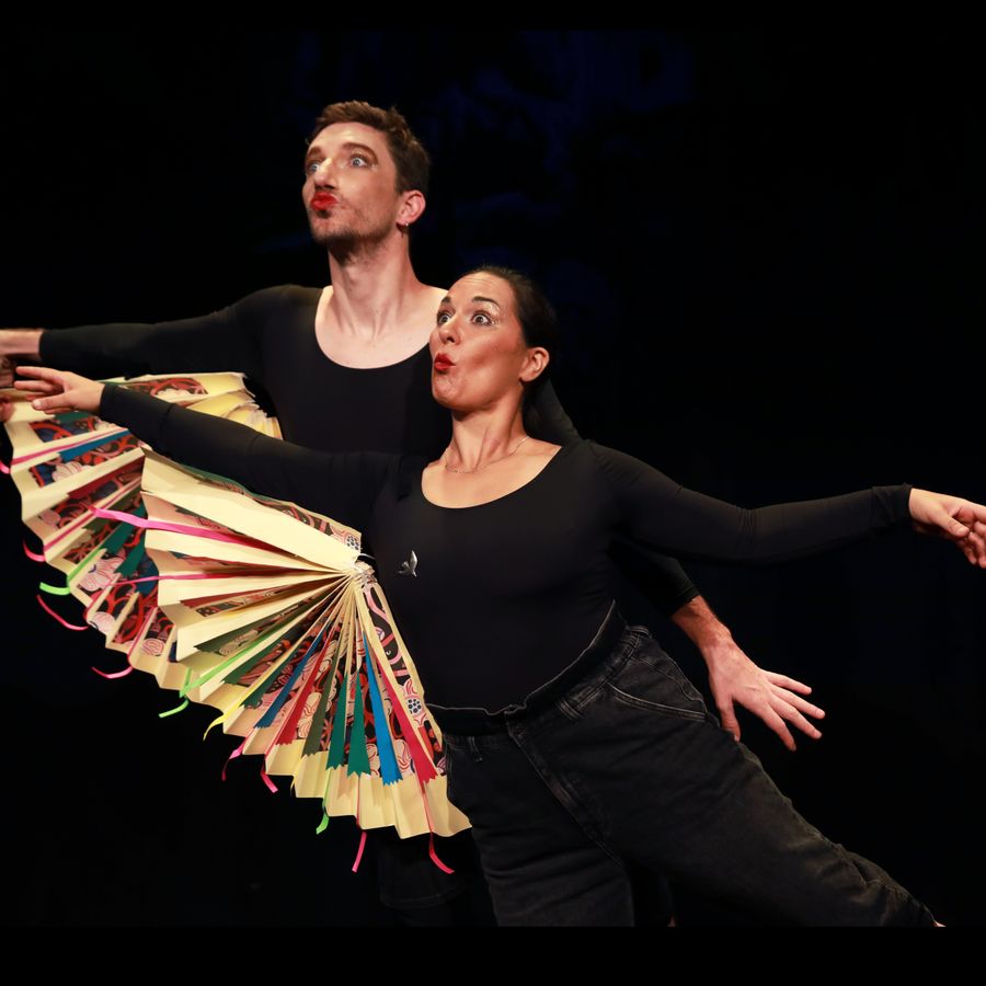 Eurovision Vogel Festival