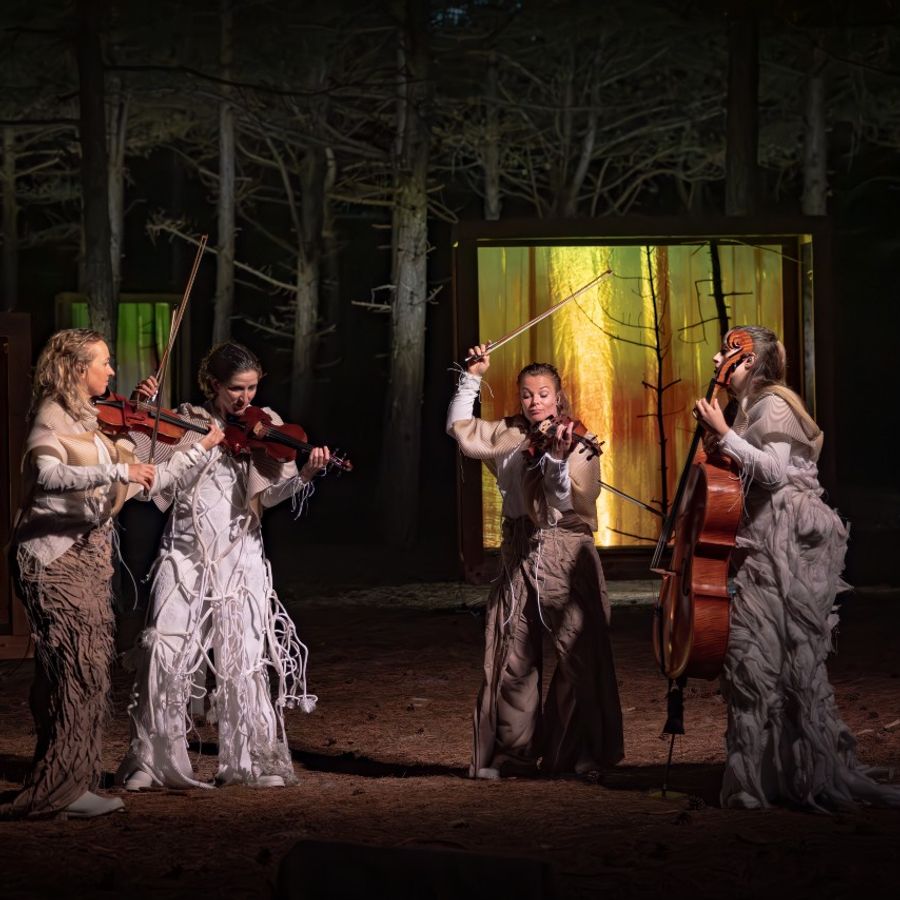 Ragazze Quartet - Memories of Trees (foto Nichon Glerum)