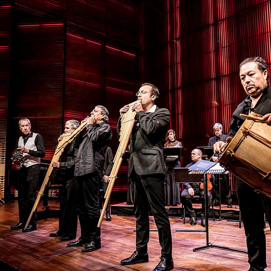  Música Temprana © Foppe Schut