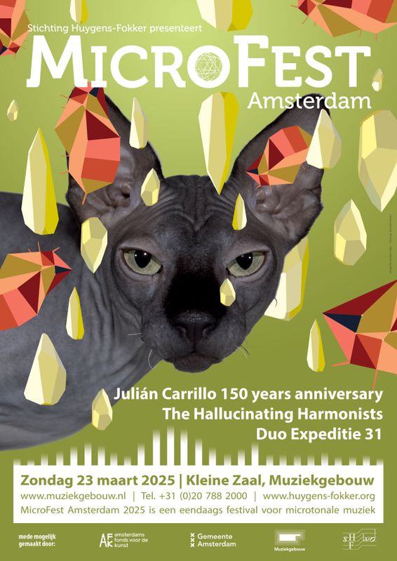 De 13e toon van Julián Carrillo