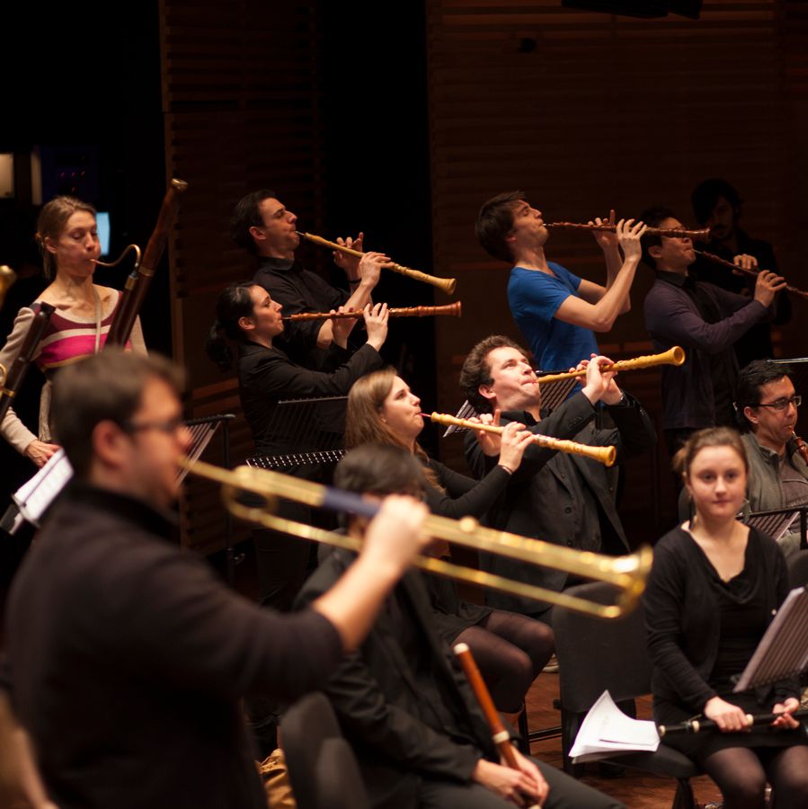Sweelinck Barokorkest (foto Annelies van der Vegt)