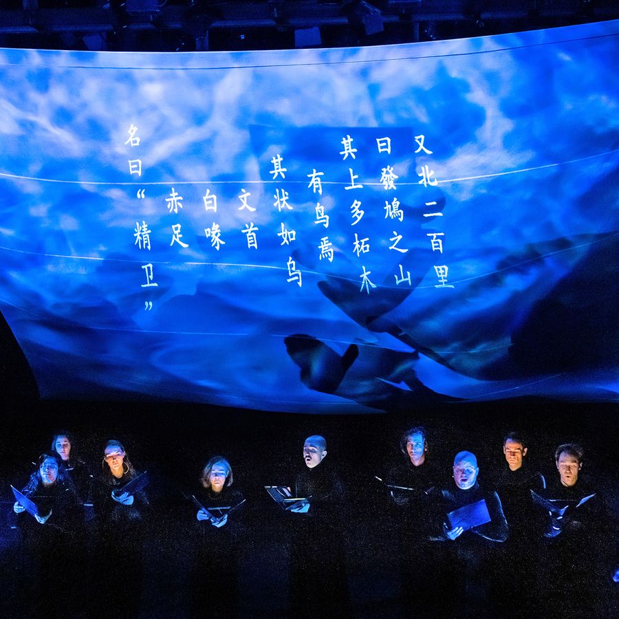 Book of Mountains & Seas (foto Steven Pisano)