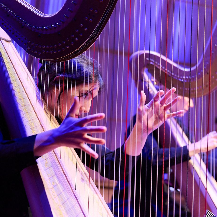 CvA Harp