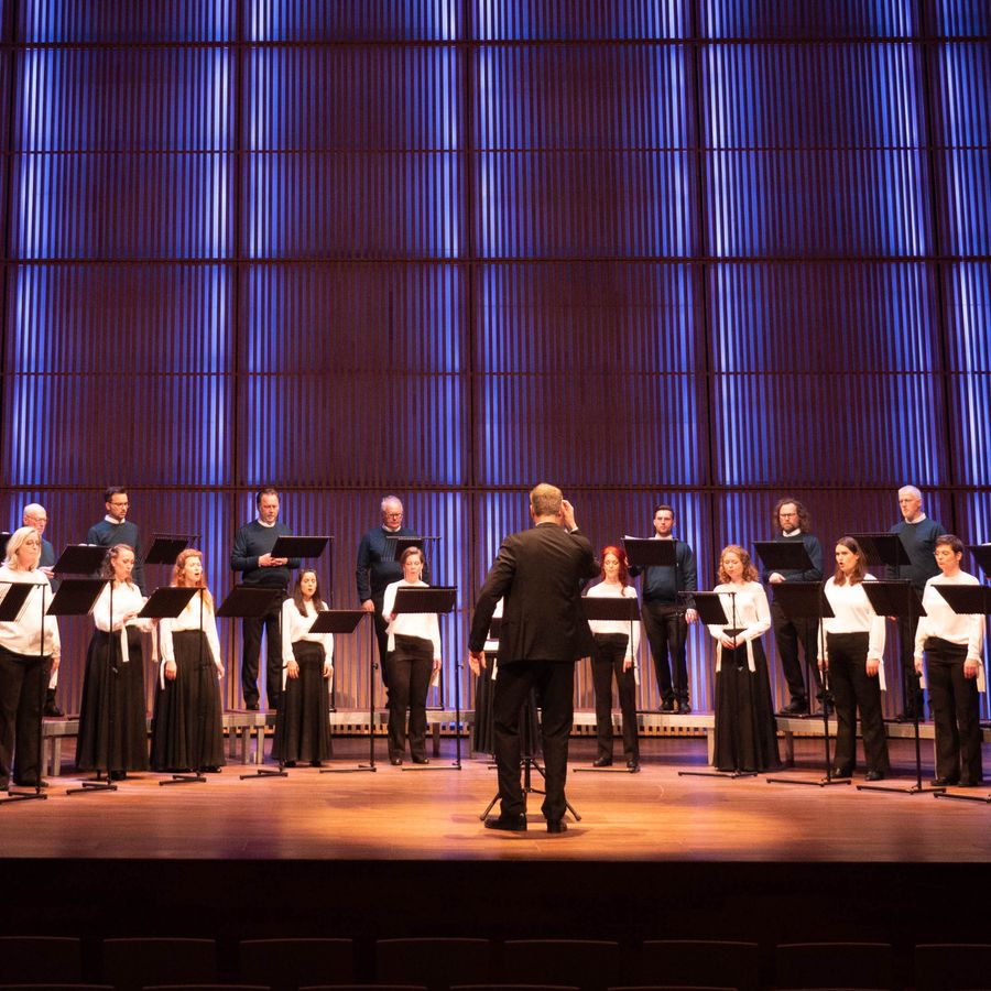 Nederlands Kamerkoor (foto Mark Stokmans)