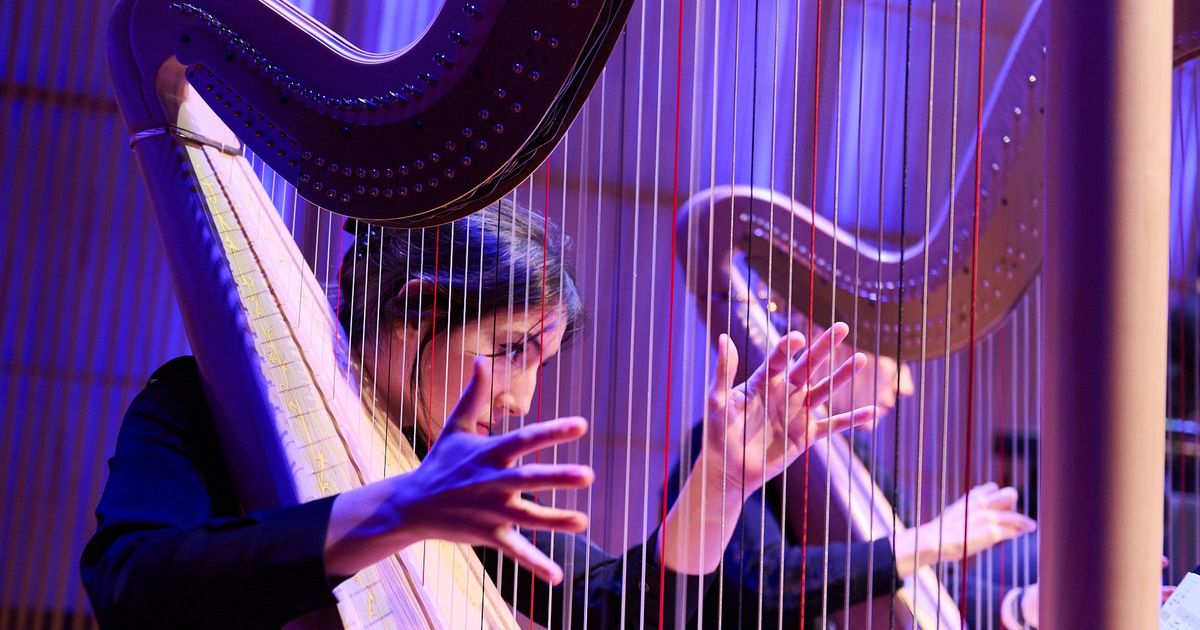 CvA Harp — Lunchconcert i.s.m. Conservatorium van Amsterdam