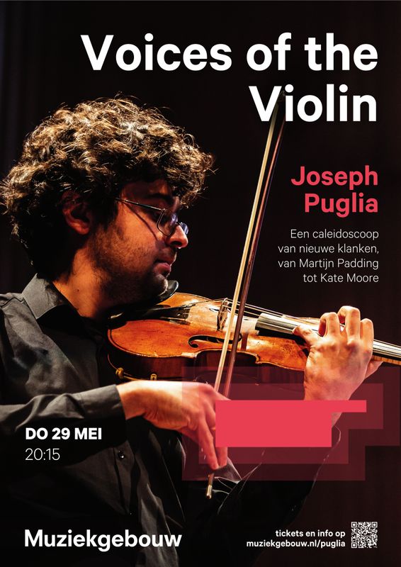 Voices of the Violin