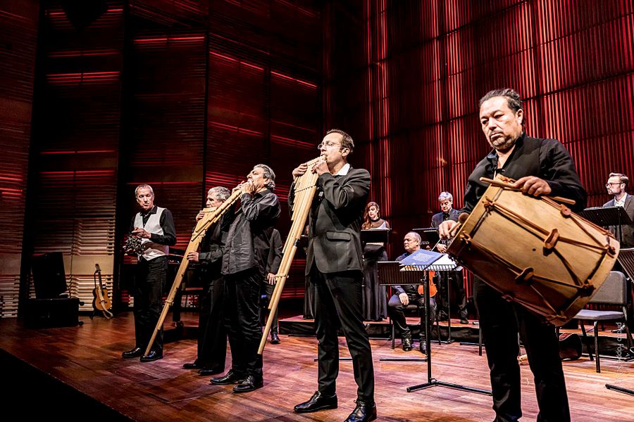  Música Temprana © Foppe Schut