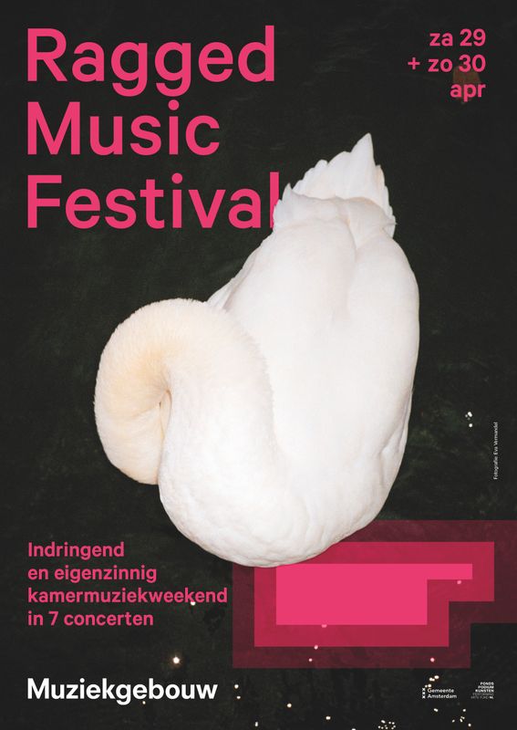 Affiche Ragged Music Festival
