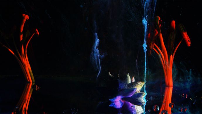 Boris Acket & Vincent Rang - Home