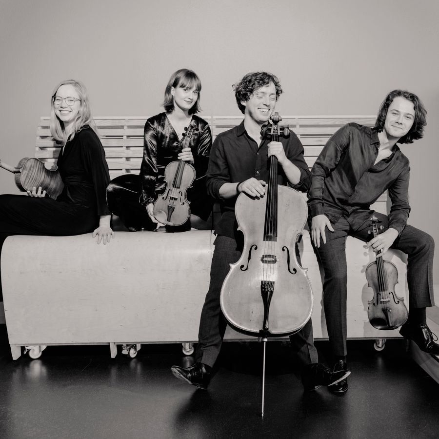 Animato Quartet (foto Marco Borggreve)