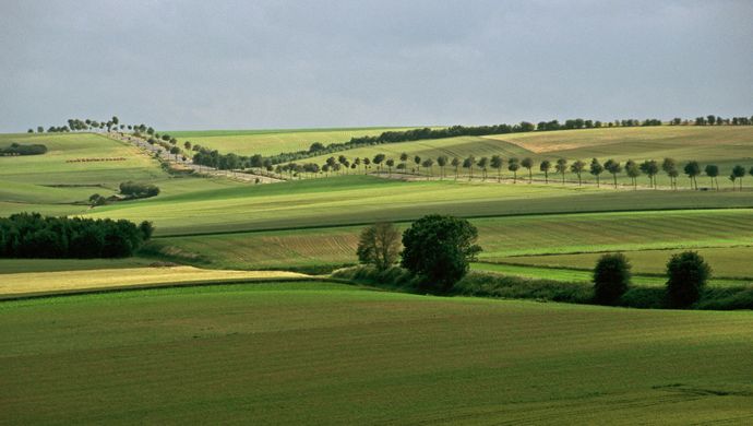 Omgeving Fauquembergues (foto: Luk Van Eeckhout)