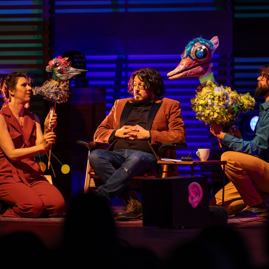 Sonic Safari: Kijkgeluiden  (foto door Maarten Nauw)