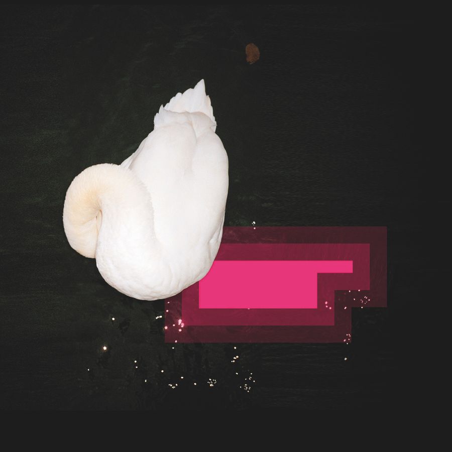 Ragged Music Festival 2023