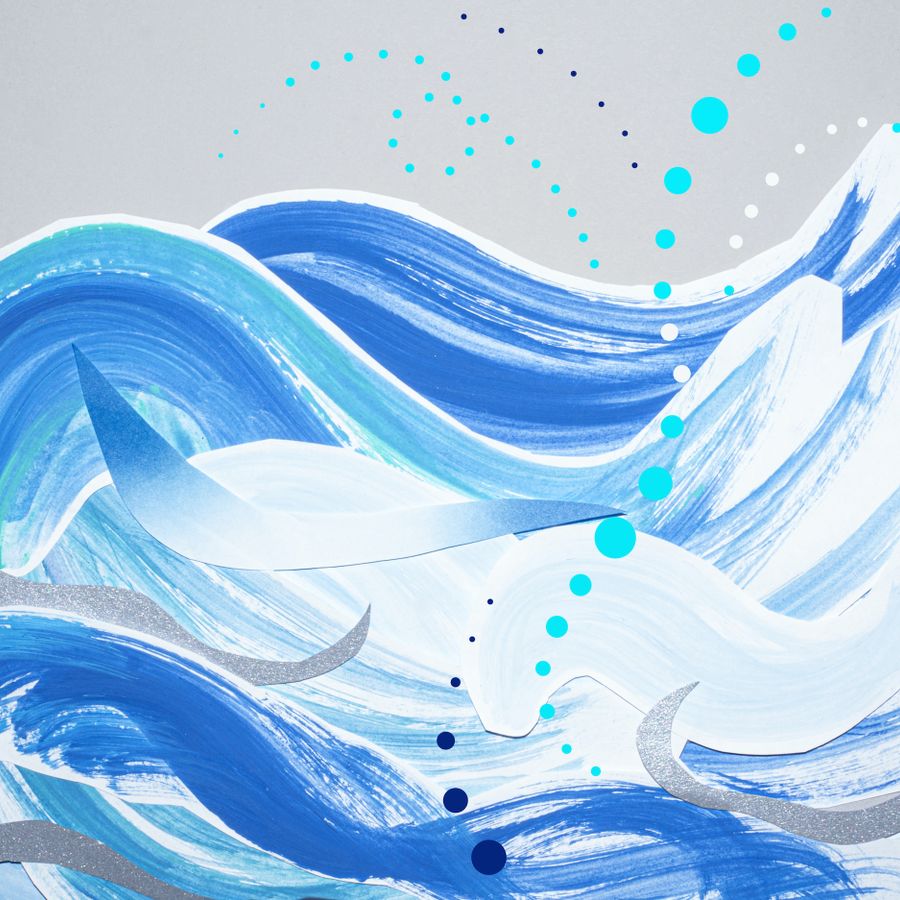 Umi - Wonderland Collectief