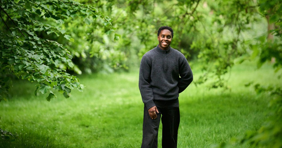 Dansen door de eeuwen — Amiri Harewood
