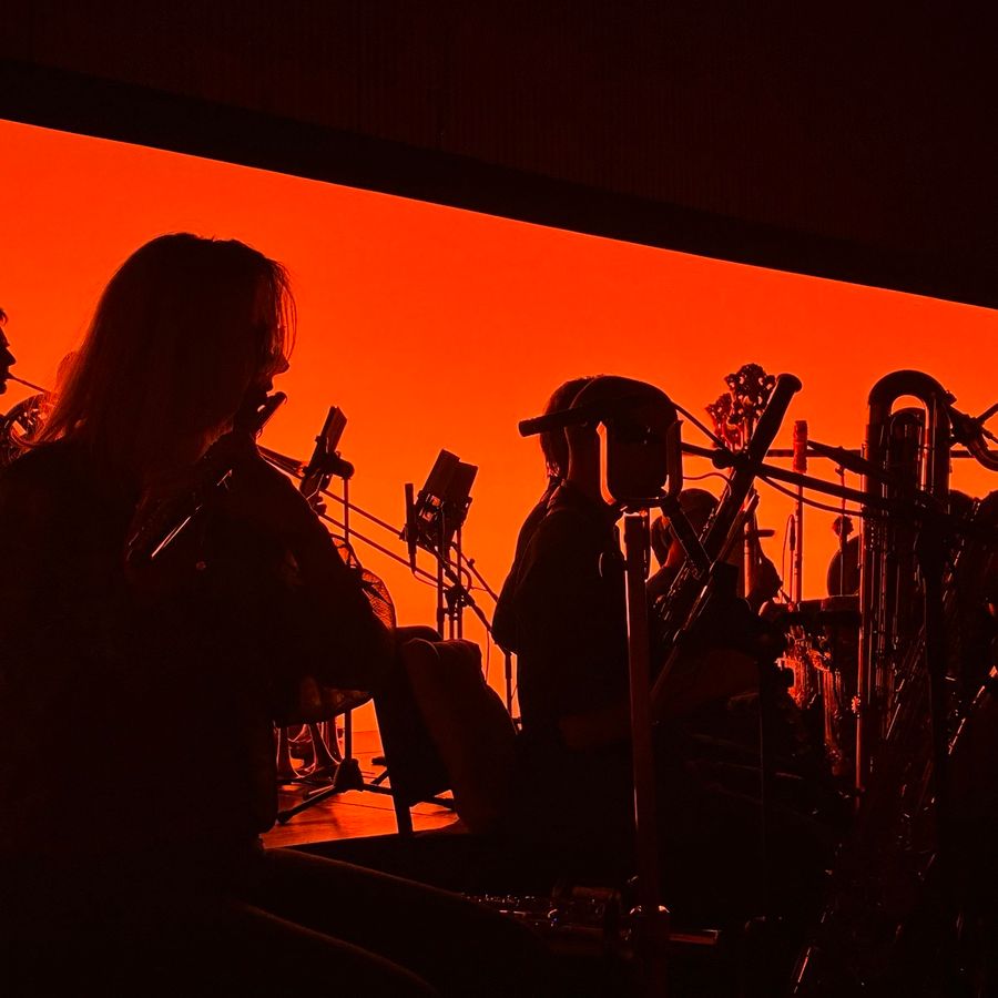 Salukat (photo Het Muziek)