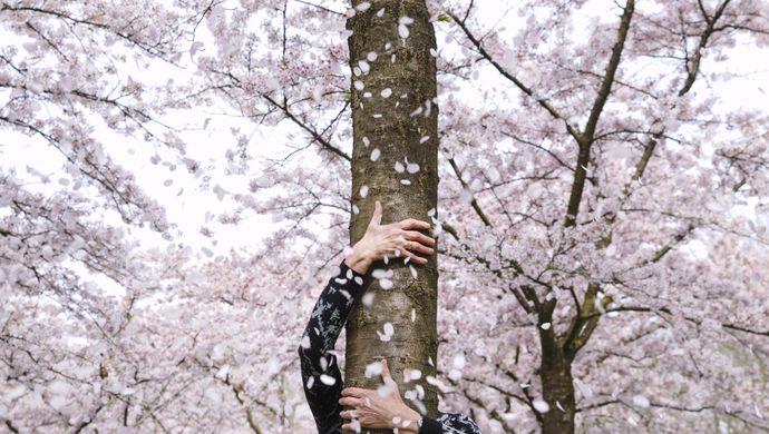 Stimmung III (foto Bowie Verschuuren)