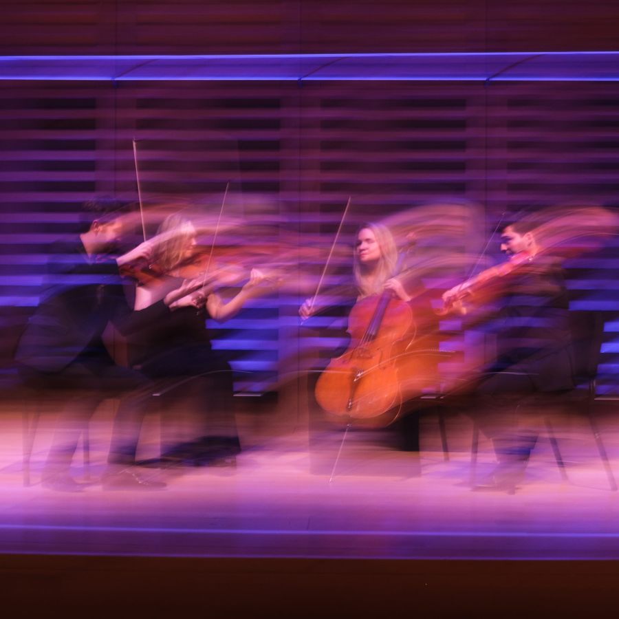 Piatti Quartet (foto Venetia Jollands Photography)