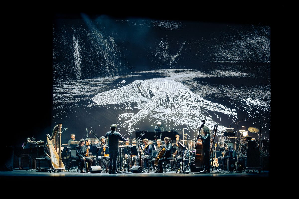 Rave-L (©Quentin Chevrier)