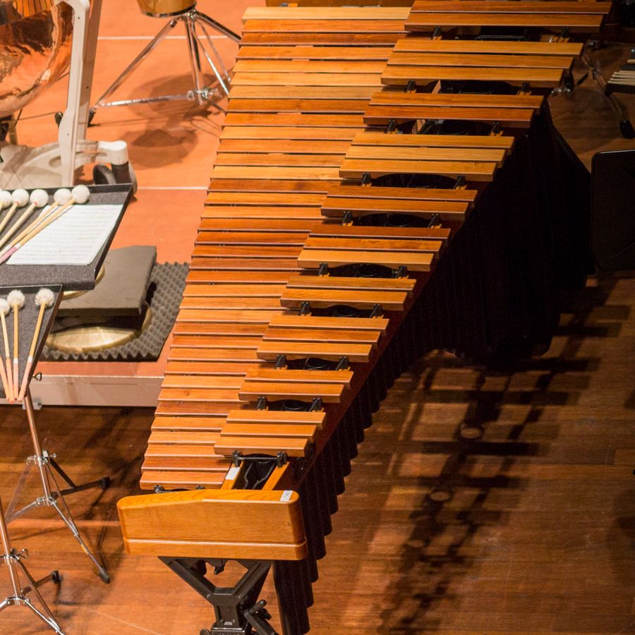 Marimba (foto Martina Simkovicova)