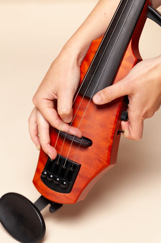 Diamanda La Berge Dramm - violin (©Lisa Schamlé)