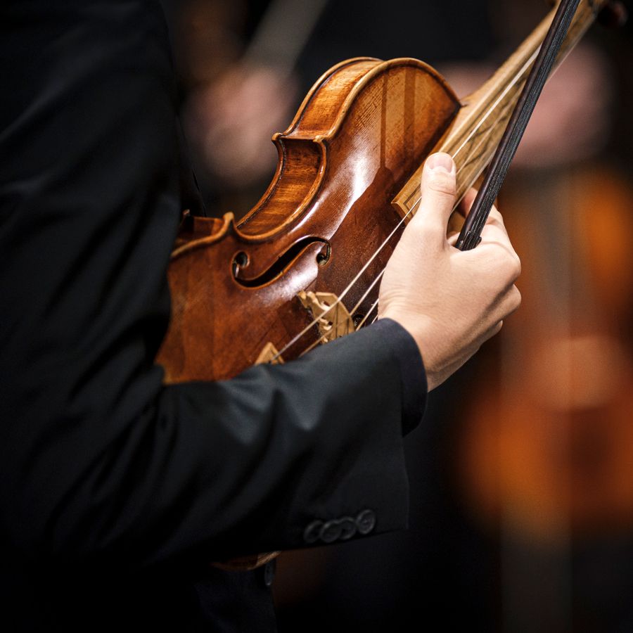 Nederlandse Bachvereniging (foto: Hans van der Woerd)