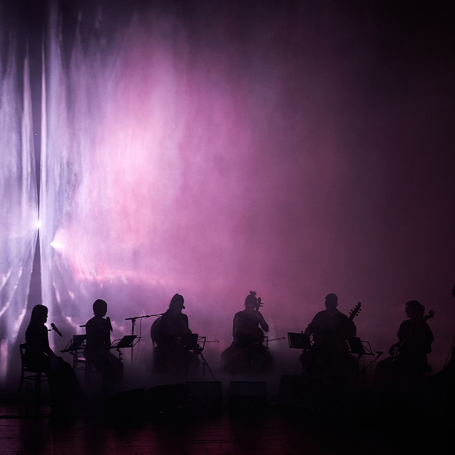 Where To From (©Joanna Chwilkowska)