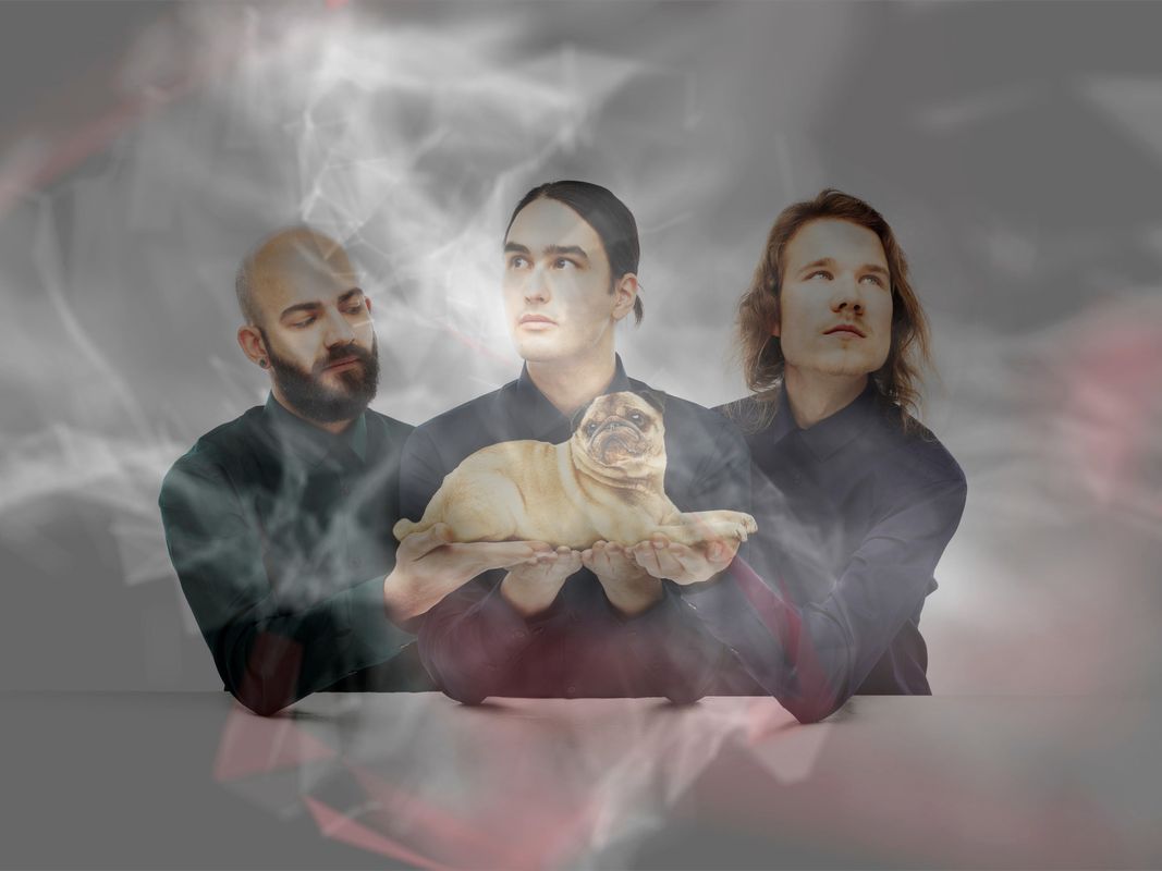 Ugly Pug (foto Joe Finch Meijer, grafiek JmStash)