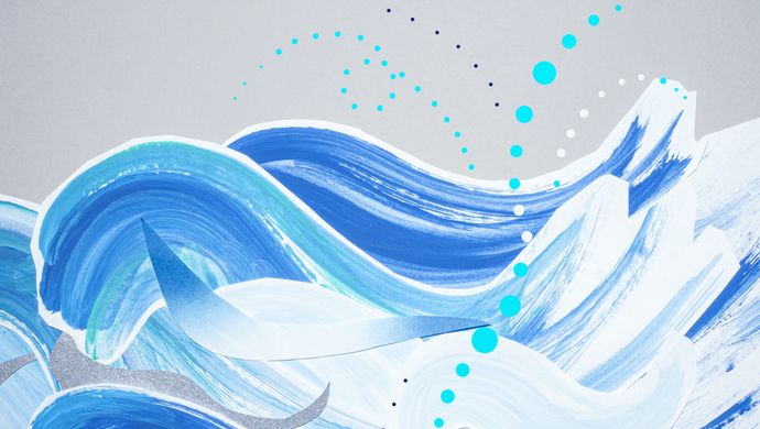 Umi - Wonderland Collectief