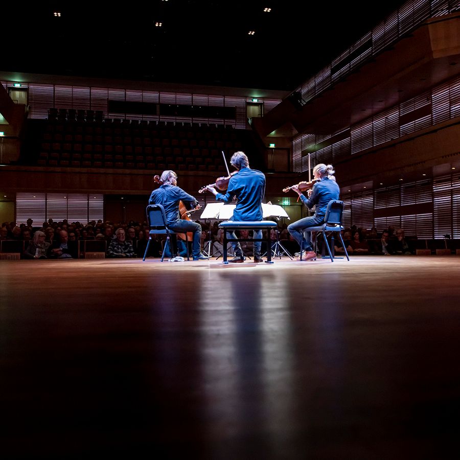 Danish String Quartet  (foto Foppe Schut)