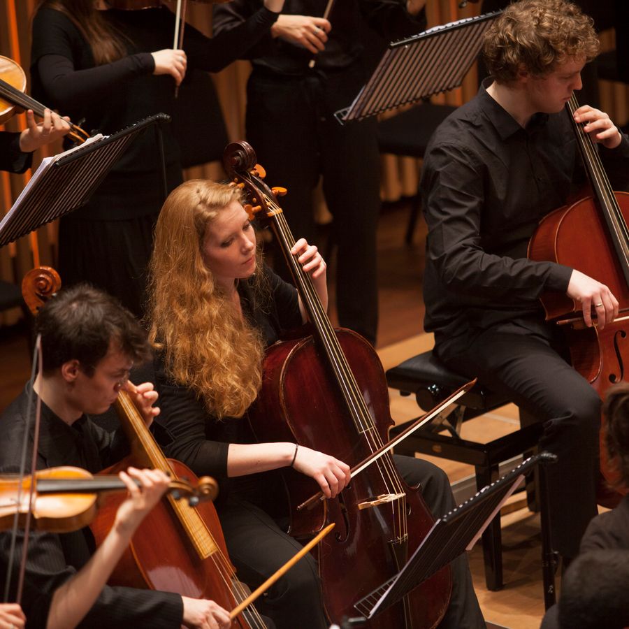 Sweelinck Barokorkest (foto Annelies van der Vegt)