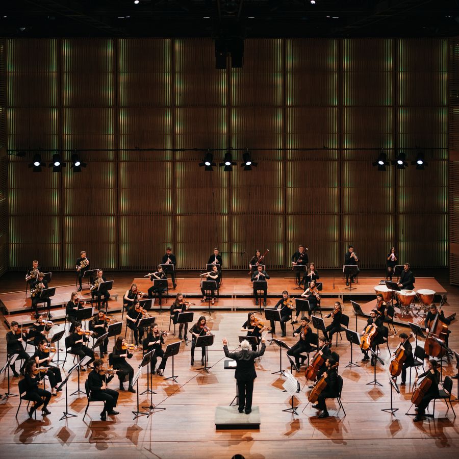 CvA Symphony Orchestra