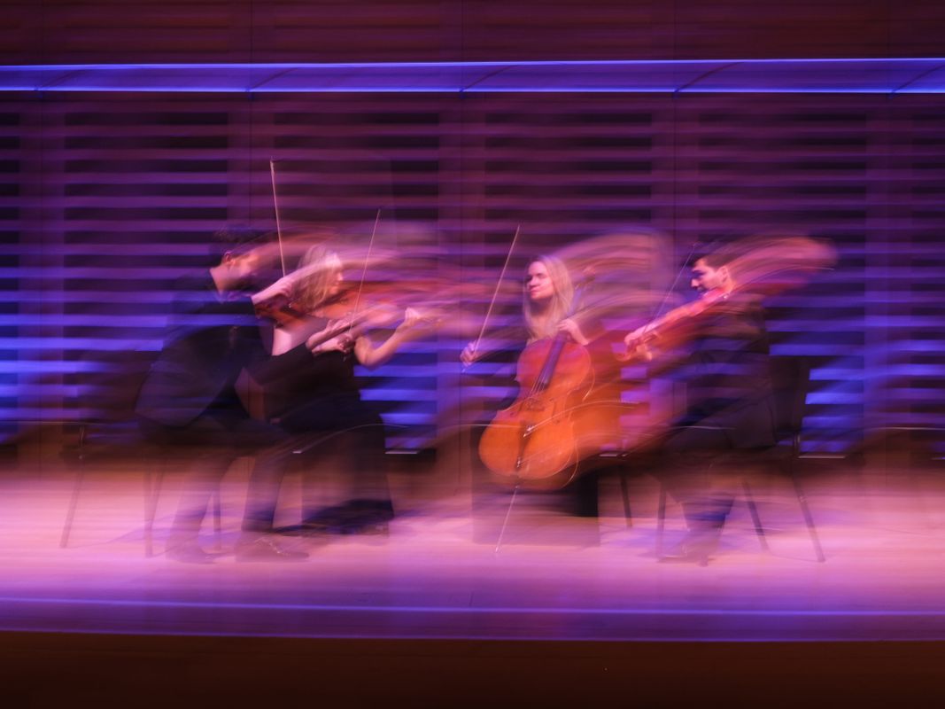 Piatti Quartet (foto Venetia Jollands Photography)