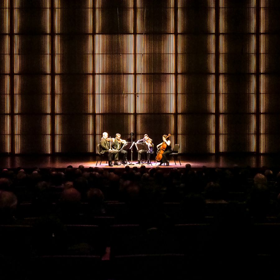 Strijkkwartet Biënnale