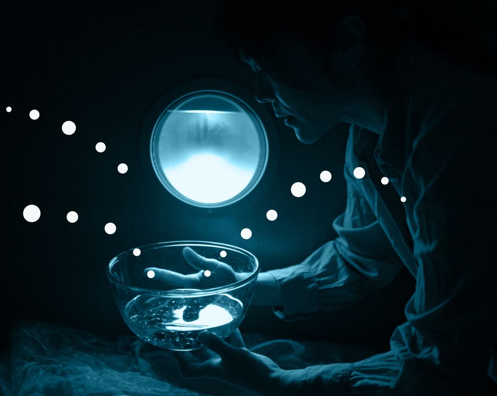 Wonderland Collectief - Umi