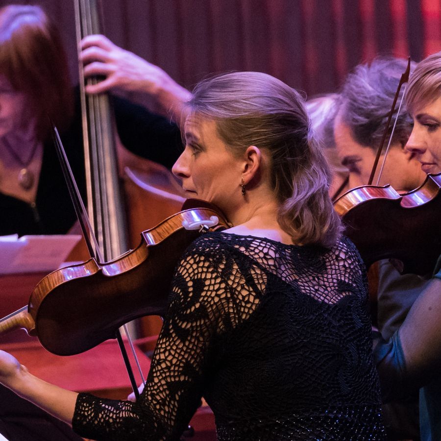 Nederlands Kamerorkest (foto Roland Knapp)
