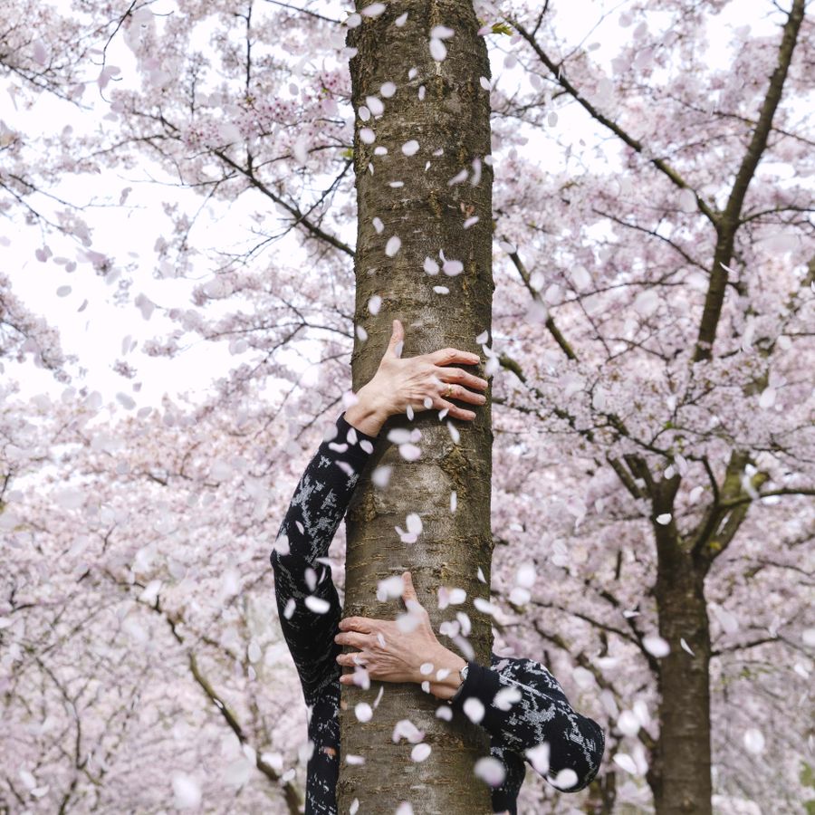 Stimmung III (foto Bowie Verschuuren)