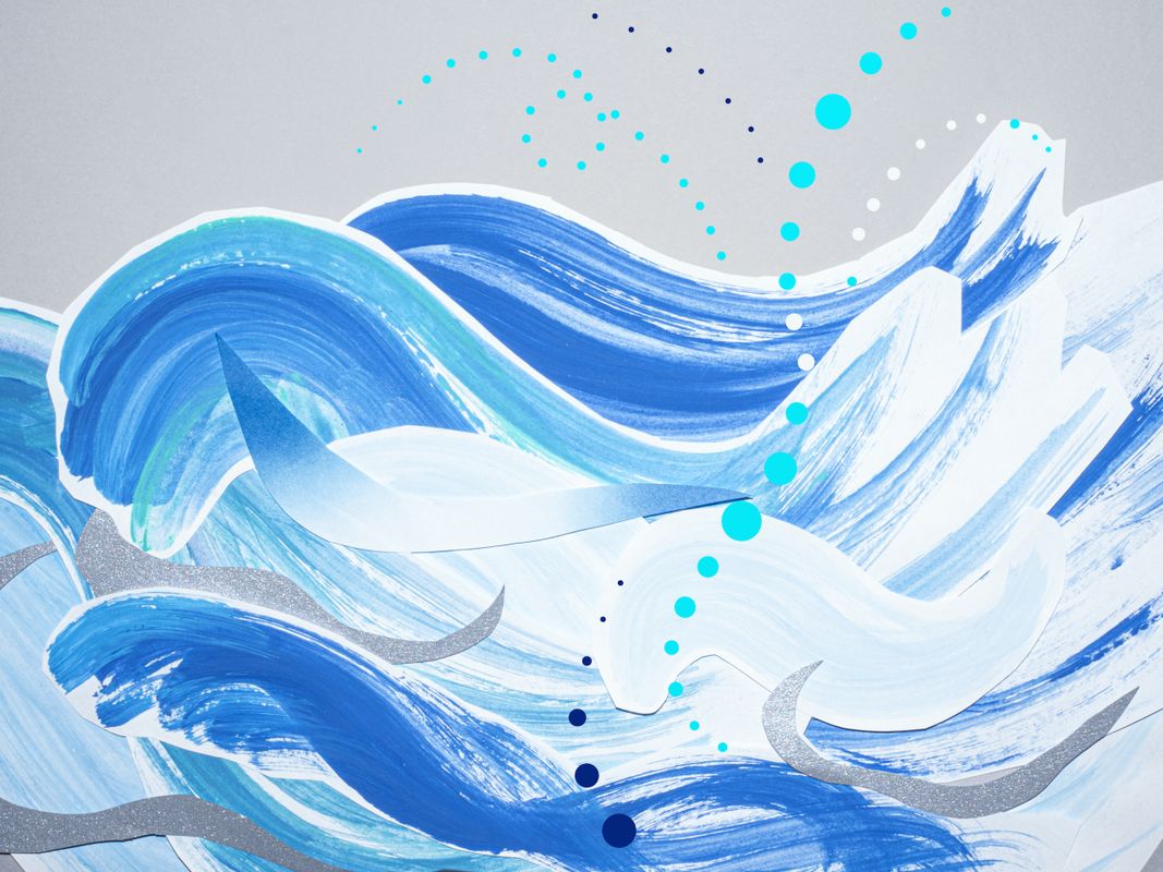 Umi - Wonderland Collectief