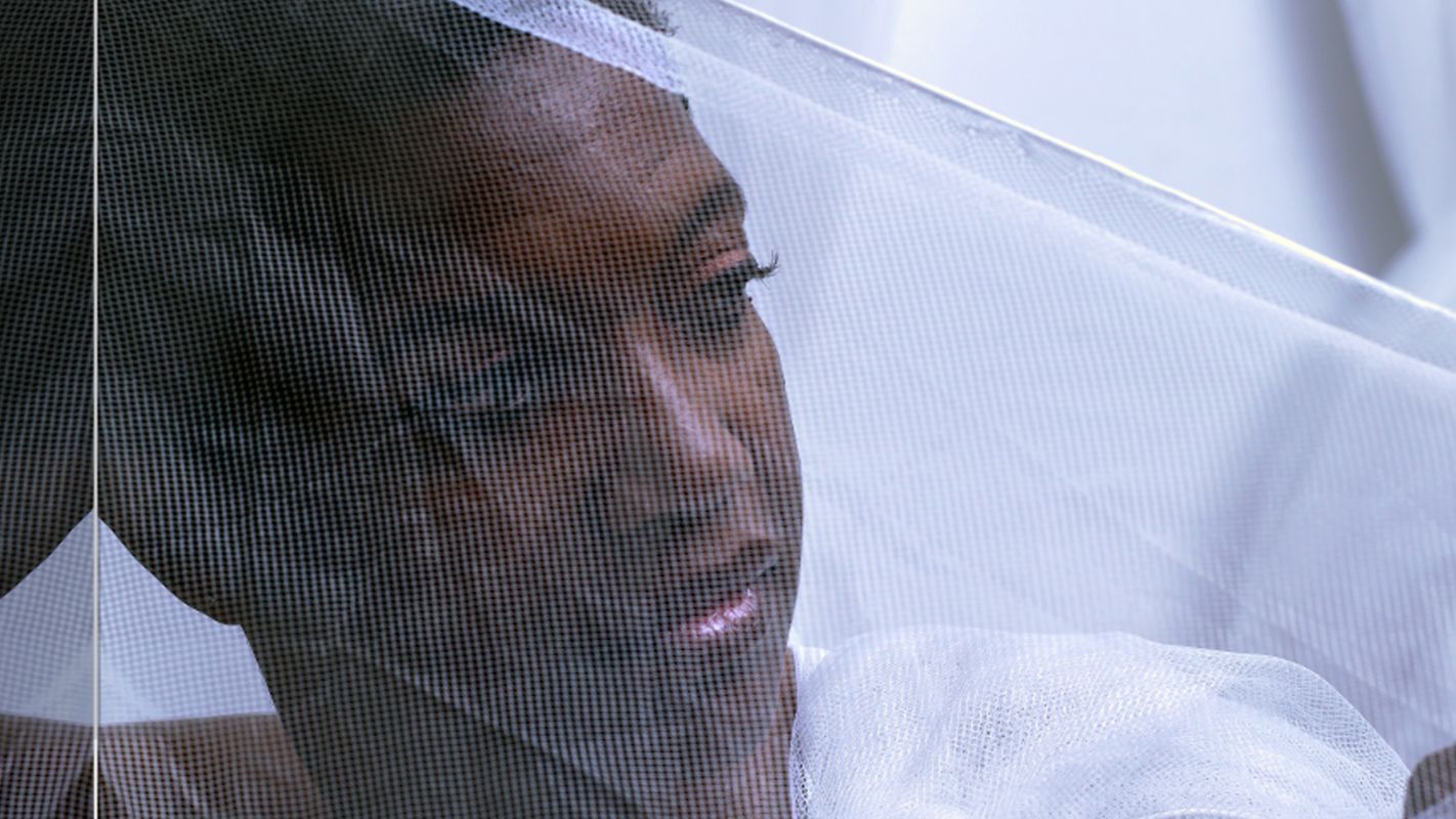 Claron McFadden (foto Erik de Jong)