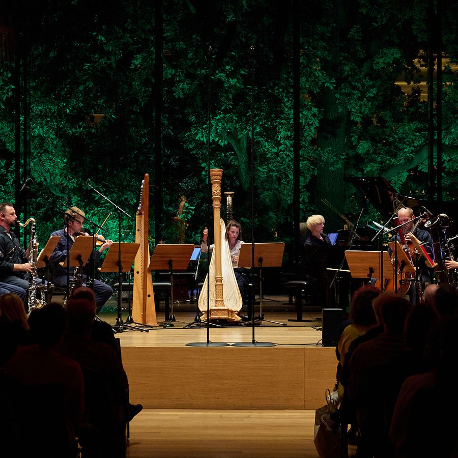 Ensemble Proton Bern - Ausschweifen (©Klangspuren/Verena Nagl)
