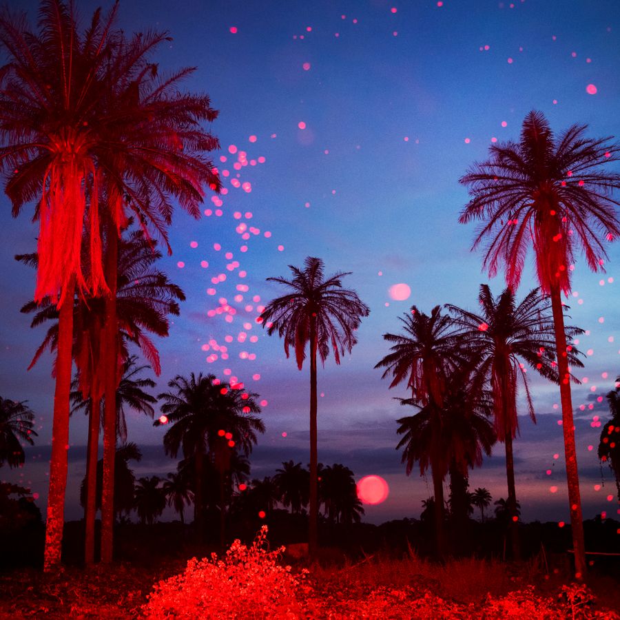 Stille Nacht am Silbersee 2019