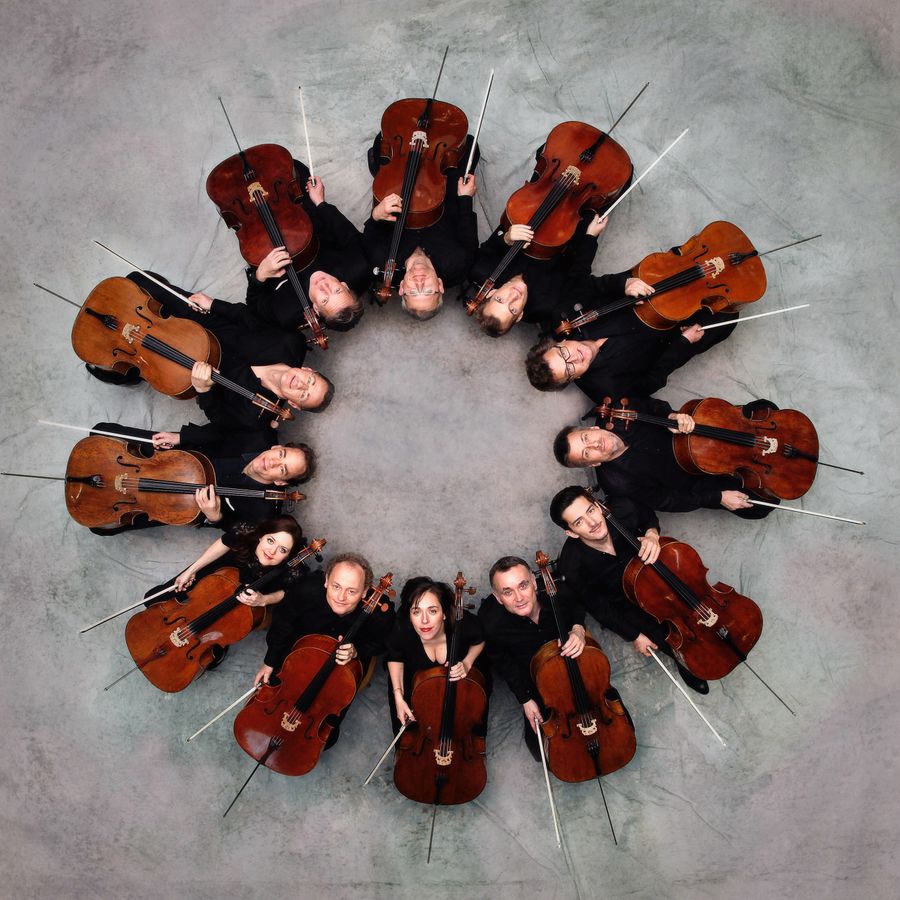 Die 12 Cellisten (foto Uwe Arens Kreis)