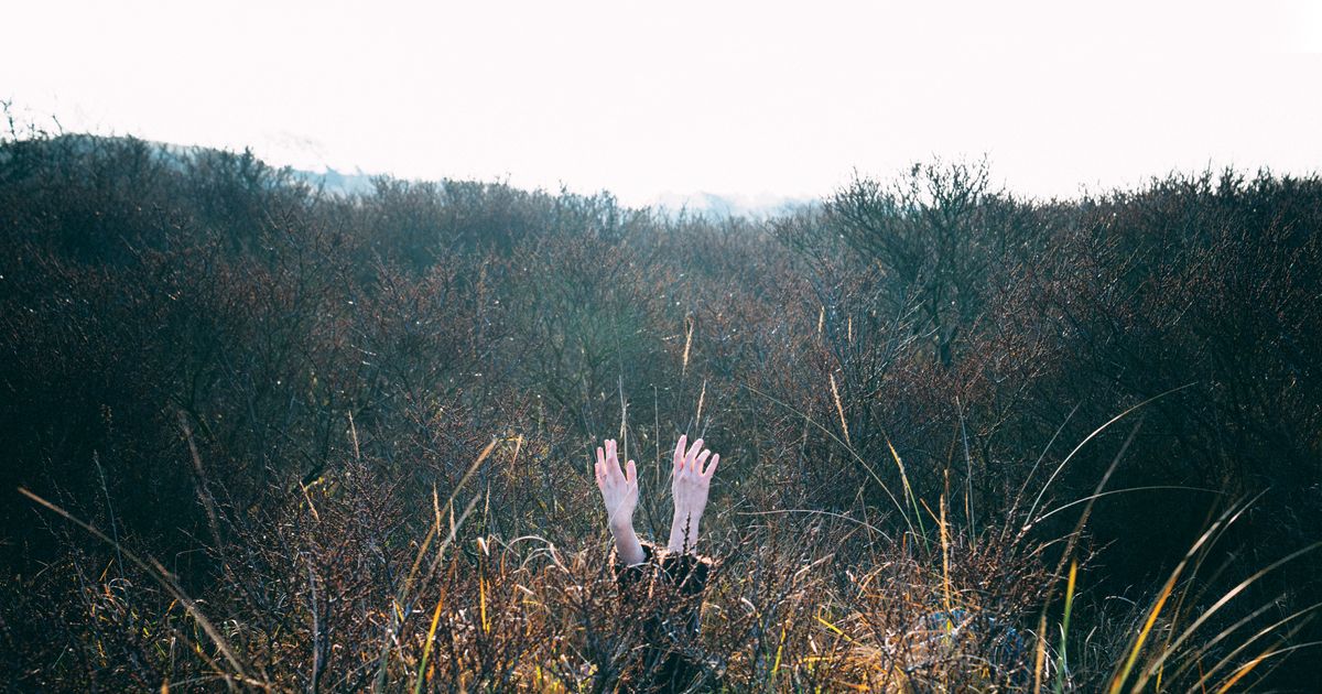 An Elegy — Mees Vervuurt, Studio Vacuum + NKK NXT