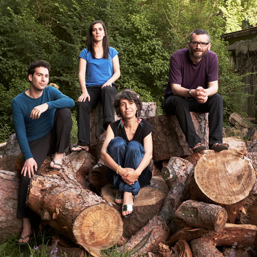 Kitgut Quartet (foto Raphaël Blasselle)