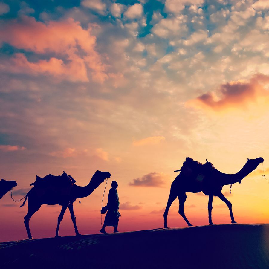 Desert Blues (foto Peter Lodder)