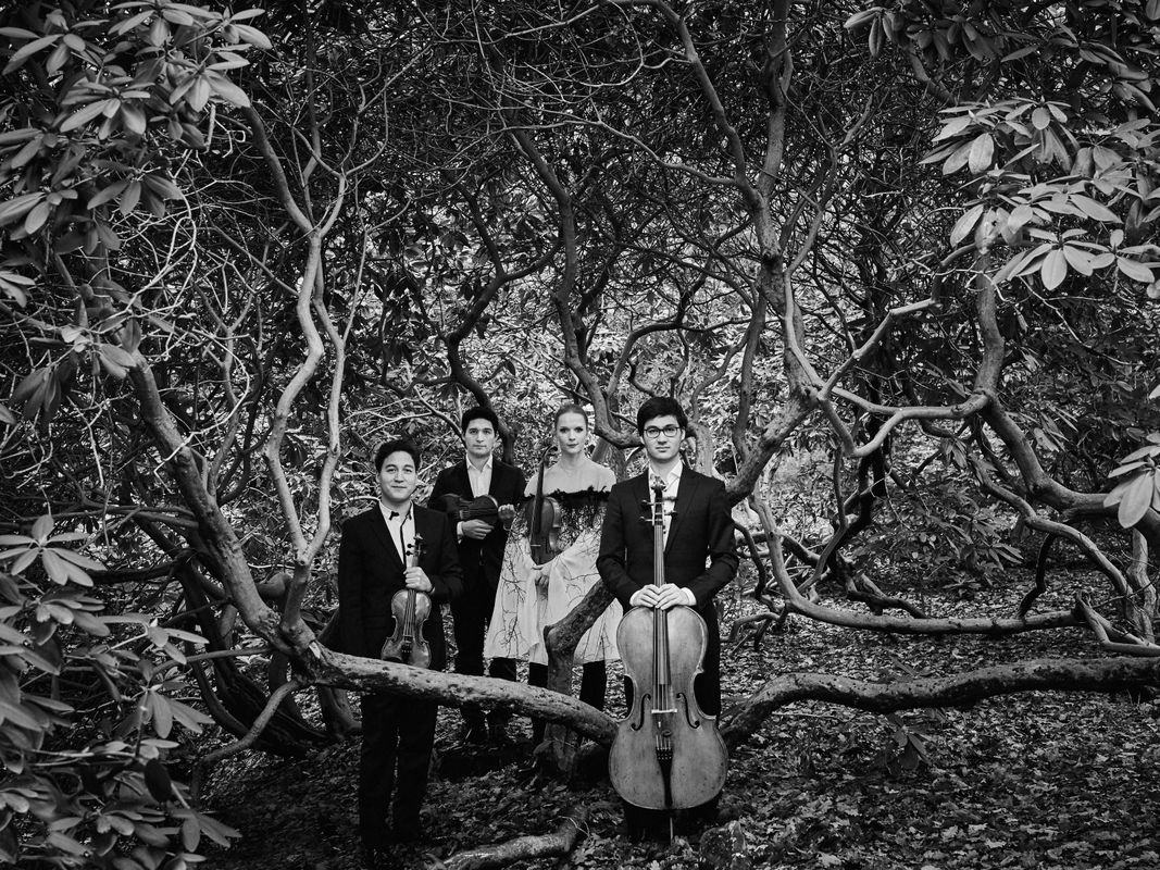Schumann Quartett (foto Kaupo Kikkas)