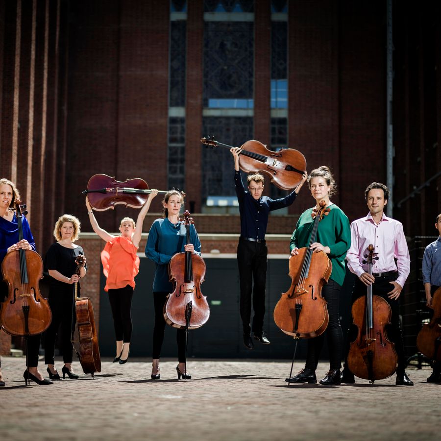 Cello Octet Amsterdam (foto Merlijn Doomernik)